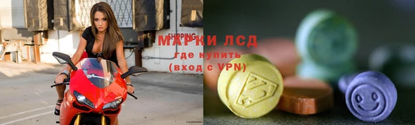 ПСИЛОЦИБИНОВЫЕ ГРИБЫ Арсеньев