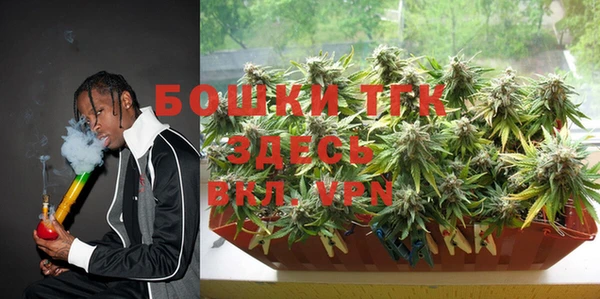 ПСИЛОЦИБИНОВЫЕ ГРИБЫ Арсеньев