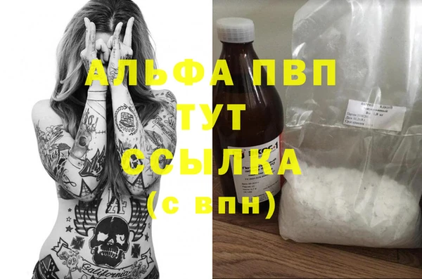 ПСИЛОЦИБИНОВЫЕ ГРИБЫ Арсеньев