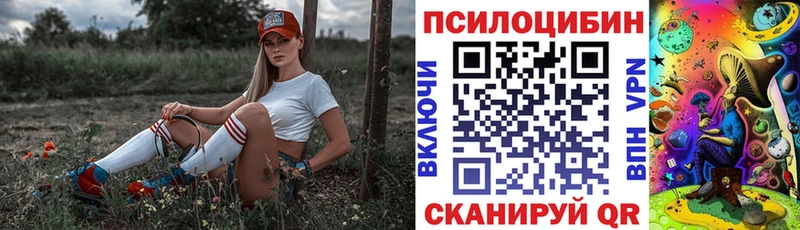 ссылка на мегу зеркало  darknet состав  Псилоцибиновые грибы мицелий  Фатеж 